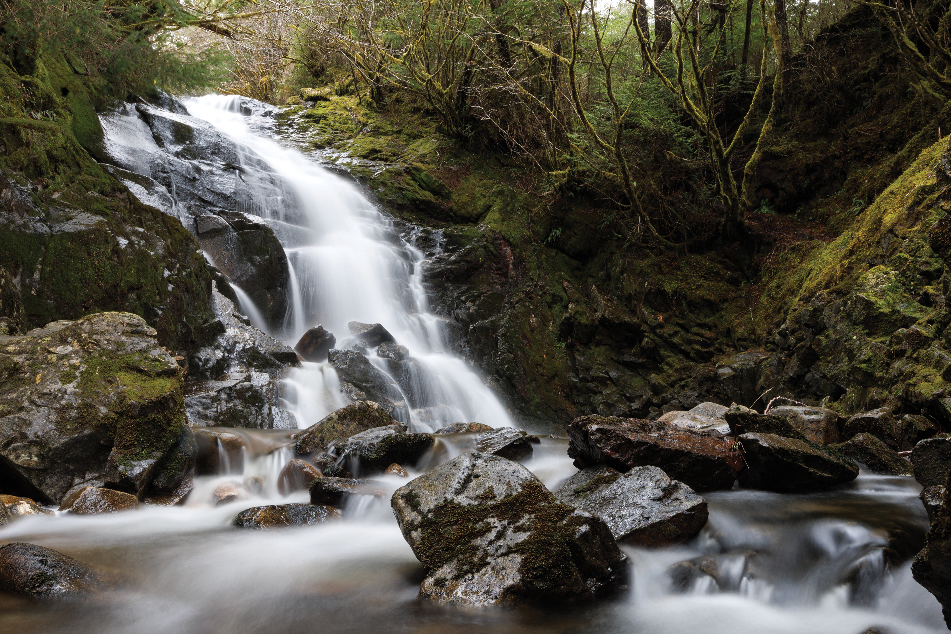 006Waterfall CMYK